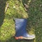 One rubber boot on grass with daisy