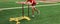 One runner pushing a yellow sled on a turf field