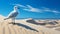 One seagull flying over rippled sand dunes, tranquil beauty generated by AI