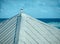 One Seagull on a Tin Roof Looking Out to Sea