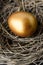 One Single Gold Painted Egg in Bird`s Nest