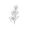 One single line drawing of beauty fresh orchid for home wall decor art poster. Printable decorative orchidaceae flower concept.