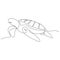 One single line drawing of big turtle for marine company logo identity. Adorable creature reptile animal mascot concept for