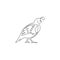 One single line drawing of funny valley quail for logo identity. California quail bird mascot concept for national conservation