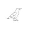 One single line drawing of mysterious raven for company business logo identity. Crow bird mascot concept for graveyard icon.