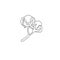 One single line drawing of whole soft and fluffy cotton flower for farming logo identity. Staple fiber flower concept for garden