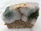 One slice of wholemeal bread overgrown with food mold fungi