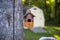 One small brown and orange outdoor bird house