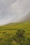 One small bush in a field in foreground. Mountain in a fog in the background. Fog and low cloudy sky makes surreal atmosphere.