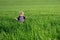 One small child in an ocean of grass