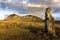 One standing moai in evening sunlight