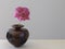 One stem of pink peony flower in a wooden vase on neutral background