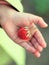 One strawberry ripe berry lie in a child`s hand