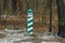 One striped signal pole among the brown vegetation on snow