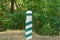 One striped signal pole among the green vegetation