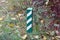 One striped signal pole among the green vegetation