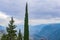 One tall slim poplar tree and another evergreen frame a view of blue misty mountains and a deep valley in Greece near the ruins at