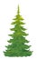 One tall spruce tree isolated