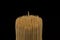 One toothpick sticks out of bunch of wooden birch toothpicks on black