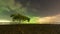 One tree at Chumphon beach, 4k Timelapse the movement of clouds and the Milky Way The mangrove area receives green light from