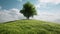 One tree hill nature landscape view green grass