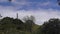 One Tree Hill Obelisk and landscape of Cornwall Park in Auckland New Zealand