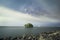 One tree and the Milky Way. Night atmosphere. Mangrove Forest at Ao Mahachai, Samut Sakhon