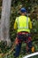 One tree trimmer with gear preparing to climb