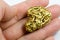 One Troy Ounce California Gold Nugget