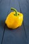 One ugly, deformed shaped yellow bell pepper on the wooden gray background close up.