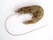 One uncooked king prawn on white background. Delicacy, tasty and healthy sea food, close up, top view