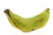 One unripe baking banana (plantain banana)