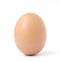 One upright brown chicken egg.