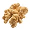 One Walnut isolated closeup without shell as package design element collection on white background. Nut macro.