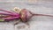 one washed red dining room beetroot with tops on the table top view