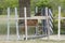 One week old mare foal is playing, she jumps over an obstacle, behind a fence, happy active brown foal