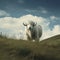 One white buffalo standing on a grassy hill