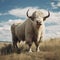 One white buffalo standing on a grassy hill
