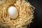 One white chicken egg in a nest on a farm. Idea for preparing for the celebration of Easter