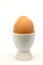 One white eggcup with a brown egg