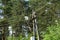 One white glass lantern hangs on a gray concrete pole