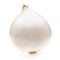 One white onion bulb