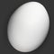 One White Organic Egg Isolated On Black