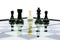 One white pawn on king shadow fight team black chess