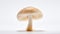 One whole edible mushroom on white background. Neural network AI generated