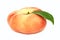 One whole flat peach with green leaf (isolated)