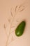 One whole green fresh avocado and tender simple plant branch on beige background. Minimal styled composition. Vertical shot