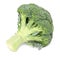 One whole head of broccoli isolated