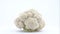 One whole mini white cauliflower. Rotating on the turntable. Isolated on the white background. Close-up.