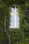 One windows and wall covered in ivy leaves